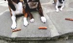 Movie : Selbstbeherrschungs-Training