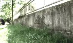Movie : Reverse-Graffiti