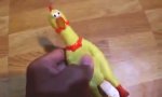 Movie : Gummihuhn-Quälerei