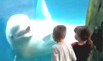 Kinderfreundlicher Beluga