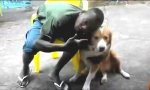 Lustiges Video : Hundeschmuser ohne Plan
