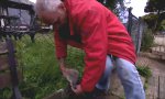 Funny Video : Undank ist der Welt Lohn