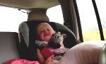 Lustiges Video : Emotionen im Kindersitz