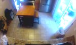 Retriever auf Beutezug