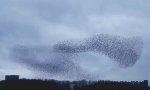 Wonders in the Sky