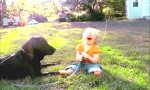 Lustiges Video : Baby, Hund und Gartenschlauch