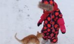 Katzenminze im Schneeanzug?