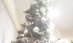 Der Tanz mit dem Weihnachtsbaum