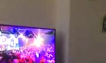 Movie : Hol das Dart-Pfeilchen!