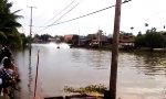 Lustiges Video - Düsen-Bambusboot Ralley