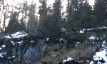 Funny Video - Berg müde...