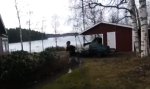 Funny Video : Kleiner Osterstreich