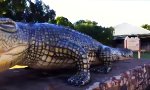 Funny Video - Gary und das Krokodil