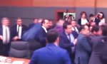 Moshpit im türkischen Parlament