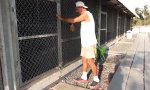 Lustiges Video : Fütterung der Raubtiere