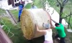 Lustiges Video : Strohballen zum Stall rollen