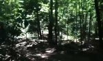 Funny Video : Neulich beim Gassigehen
