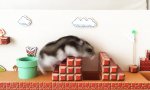 Super Hamster World