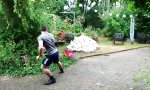 Wollt Ihr den Garten in Flammen sehen?
