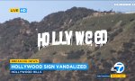 Hollyweed