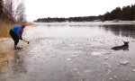 Movie : Elch aus dem Eis befreien