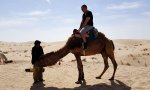 Unsanfter Abstieg vom Kamel