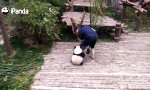 Funny Video - Gimme a Hug!