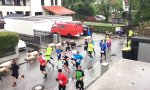 Lustiges Video : Immer schön mit der Herde laufen