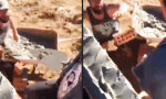 Funny Video - Ein eingespieltes Team