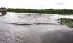 Funny Video : Kein guter Tag zum Schwimmen