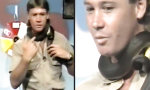 Lustiges Video : Steve Irwin und der Schlangenbiss am Hals