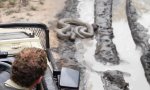 Funny Video - Python versperrt den Weg