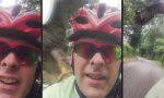Funny Video : Bussard mag keine Radfahrer