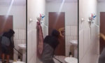 Funny Video : Möchtegern-Rattenfänger und seine Katze