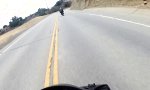 Lustiges Video : Kurve gekratzt auf’m Mulholland Drive