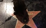 Movie : Sein Geschäft mit Donald Trump