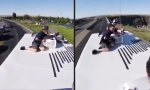 Movie : Basejump vom Bus auf der Brücke