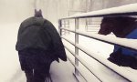 Pferde haben keinen Bock auf Schnee