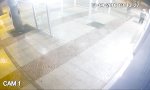 Funny Video - Instant-Karma beim Einbruchsversuch