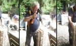 Funny Video : Schnaps und Holz