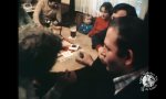 Lustiges Video : Mannschaftssitzung in der Kneipe