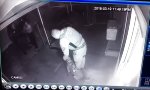 Lustiges Video - Nicht das beste Versteck
