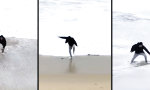 Lustiges Video : Mit dem Handy vor den Wellen davonrennen