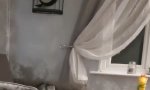 Lustiges Video - Auf die Couch oder nicht auf die Couch?