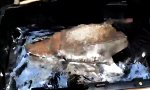 Lustiges Video : Wenn der Amboss oben schwimmt