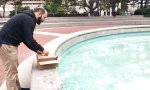 Lustiges Video : Ente gut, alles gut