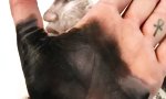 Movie : Handgemaltes Portrait