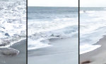 Lustiges Video : Strandjäger