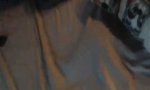 Lustiges Video : Spuk unter dem Bettlaken