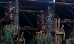 Funny Video : Hühnerschaukel